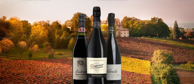 Lambrusco Grasparossa Di Castelvetro