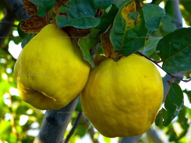 What Does Quince Taste Like? Unpack This Curious Fruit's Flavor