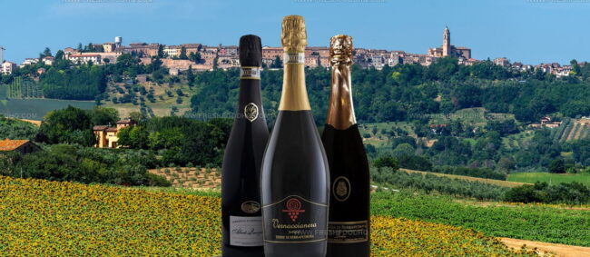Vernaccia Di Serrapetrona