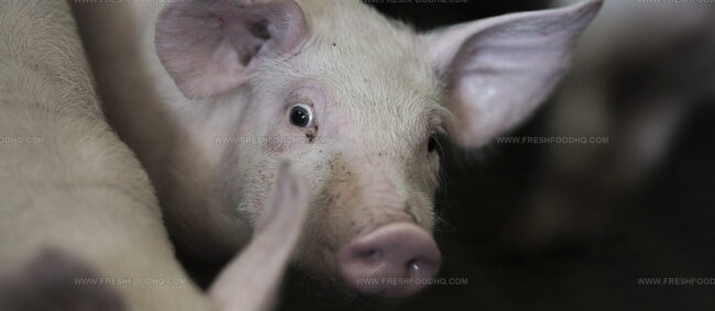Viande De Porc Marque Nationale Grand-Duche De Luxembourg