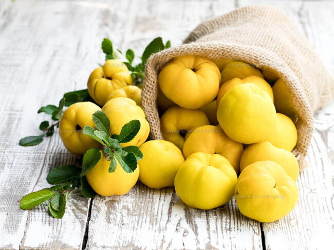 The Taste Of Quince Jam