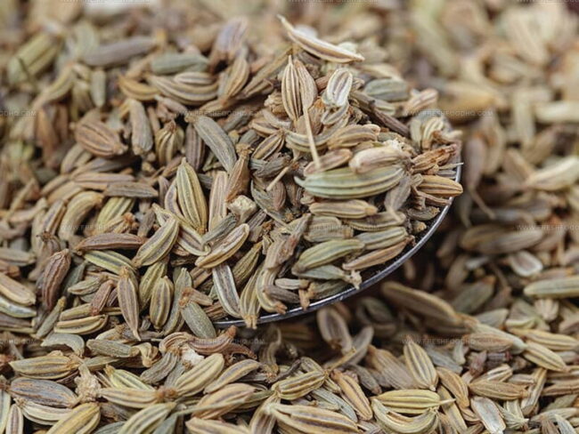 The Taste Of Fennel Seed