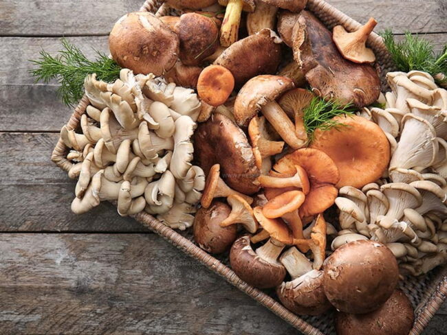 Do Mushrooms Taste Good?